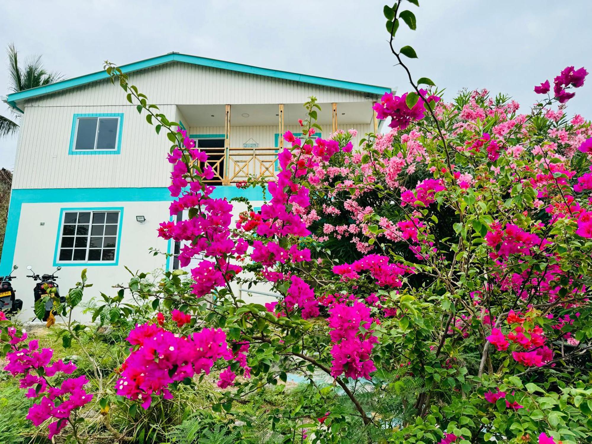 Bed and Breakfast Colorful Garden House à Providencia  Extérieur photo